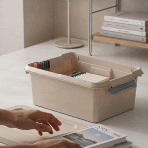 Home Organizer